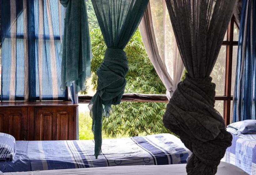 تختخواب در اتاق مشترک, Lobo Hostel   Rurrenabaque