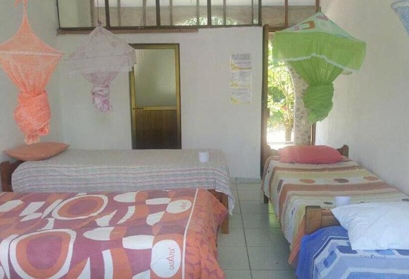 Lit en Chambre Commune, Lobo Hostel   Rurrenabaque