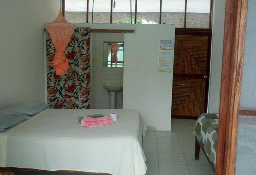 Chambre Familiale, Lobo Hostel   Rurrenabaque