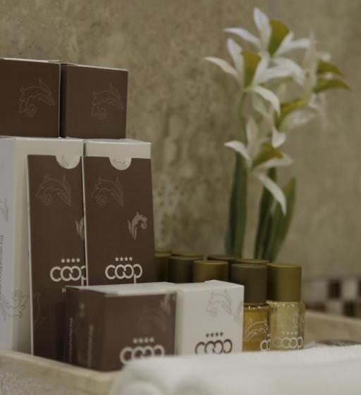 Номер Deluxe, Coop  Sofia
