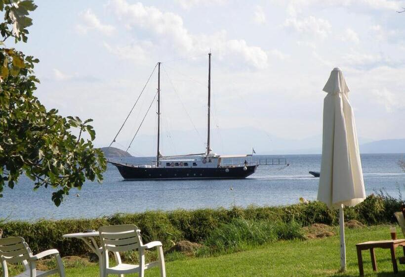 اتاق استاندارد, Angeliki Beach