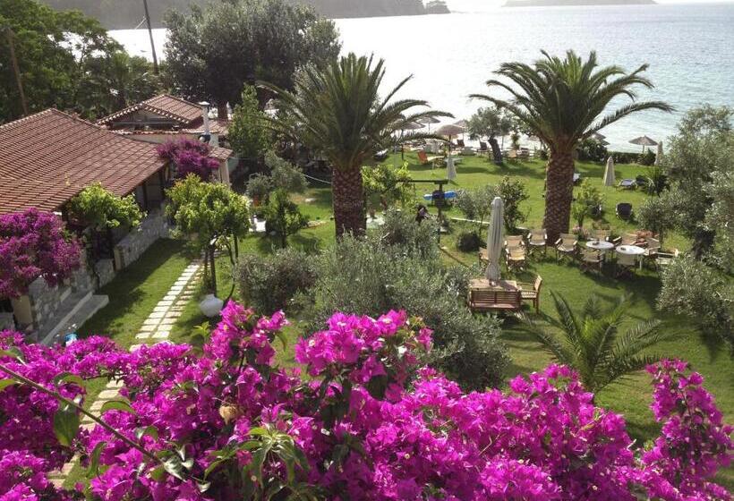استودیوی استاندارد با چشم‌انداز دریا, Angeliki Beach