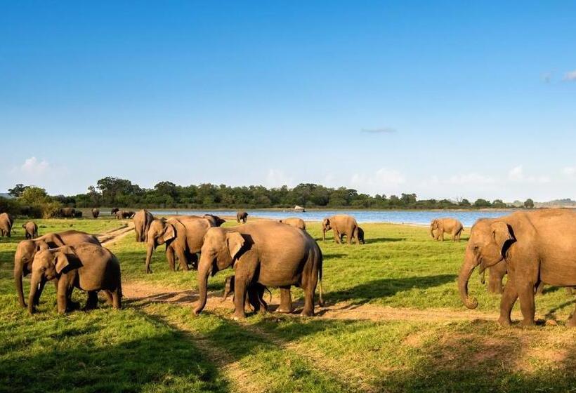 Family Suite, Sunshine Resort & Spa Sigiriya