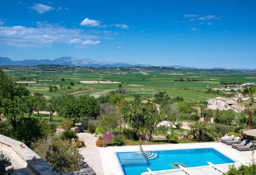 Номер Стандарт Вид на Сад, Casa Font I Roig