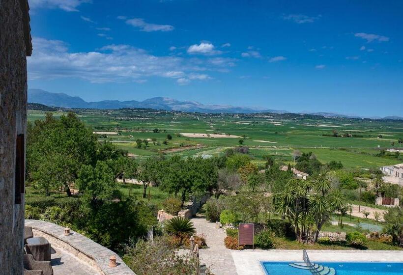 Номер Стандарт, Casa Font I Roig