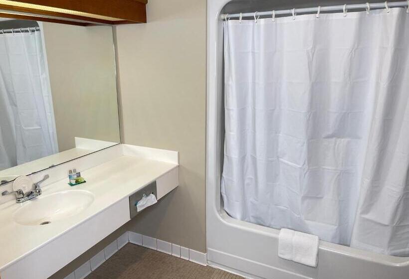 스탠다드 룸 킹사이즈 침대, Farmstead Inn And Conference Center
