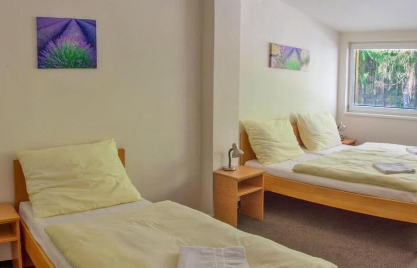 اتاق استاندارد سه نفره, &wellness Knížecí Rybník