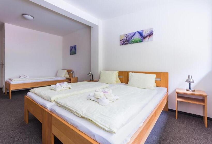 اتاق استاندارد سه نفره, &wellness Knížecí Rybník