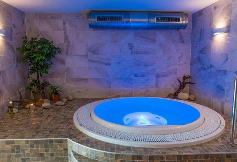 스탠다드 룸, &wellness Knížecí Rybník