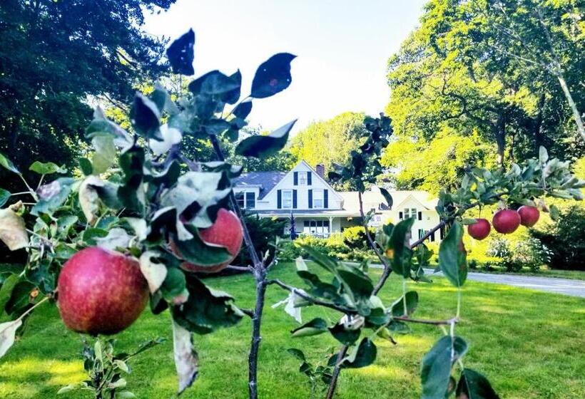 חדר סופריור עם מיטת קינג, Timbercliffe Cottage Inn