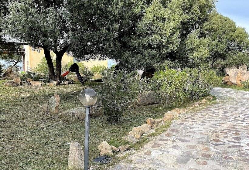 إستوديو قياسى, B&b Su Donnigheddu