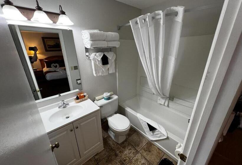 Номер Стандарт, Alpine Motel
