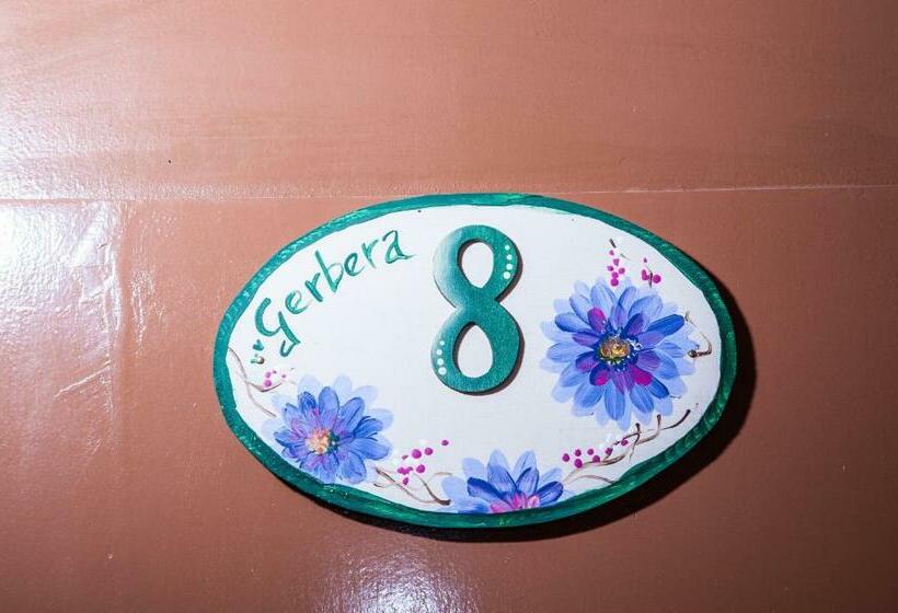 Номер Стандарт, Albergo De Jean