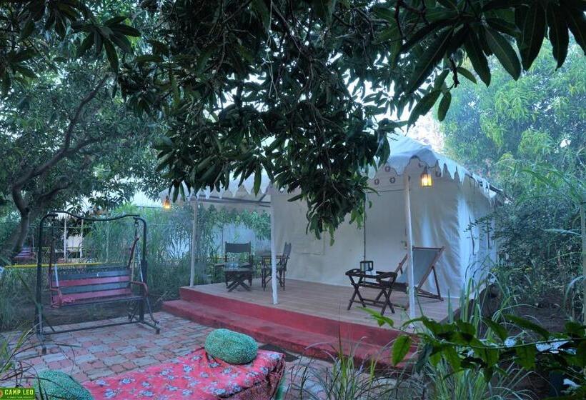 Standard Tent, Gir Pride Resort