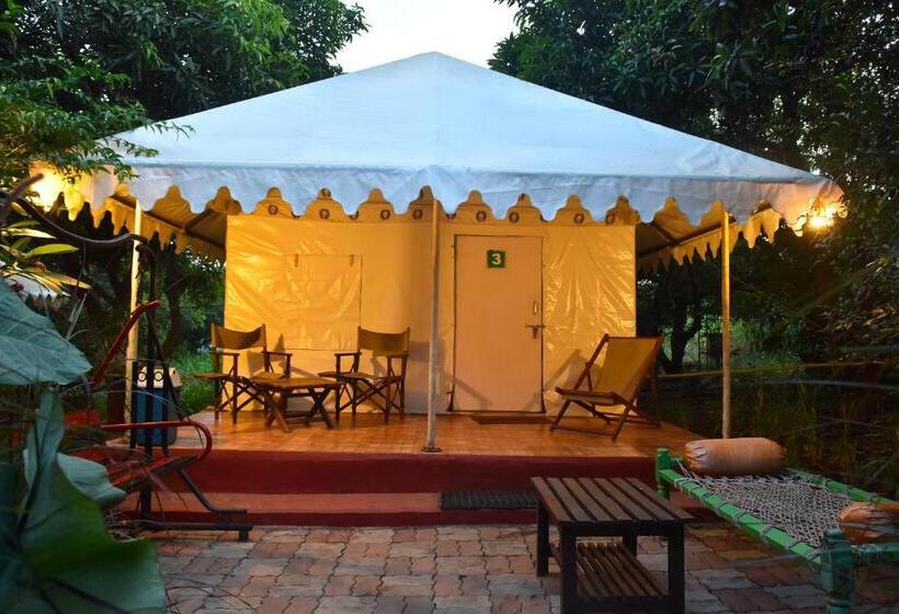 Standard Tent, Gir Pride Resort