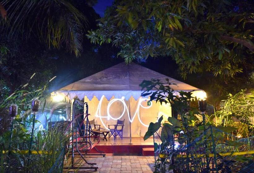 Standard Tent, Gir Pride Resort