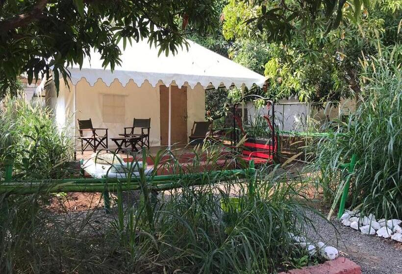 Standard Tent, Gir Pride Resort