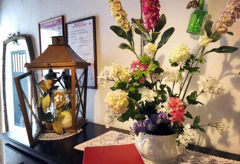 Номер Стандарт, B&b La Bouganville