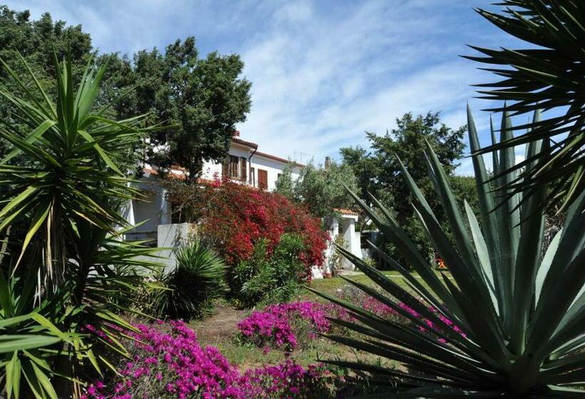 Номер Стандарт, B&b Capo Altano