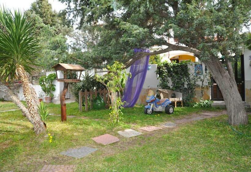 Номер Стандарт, B&b Capo Altano