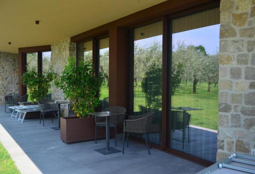 스탠다드 스튜디오 풀장 전망, La Cipressina B&b