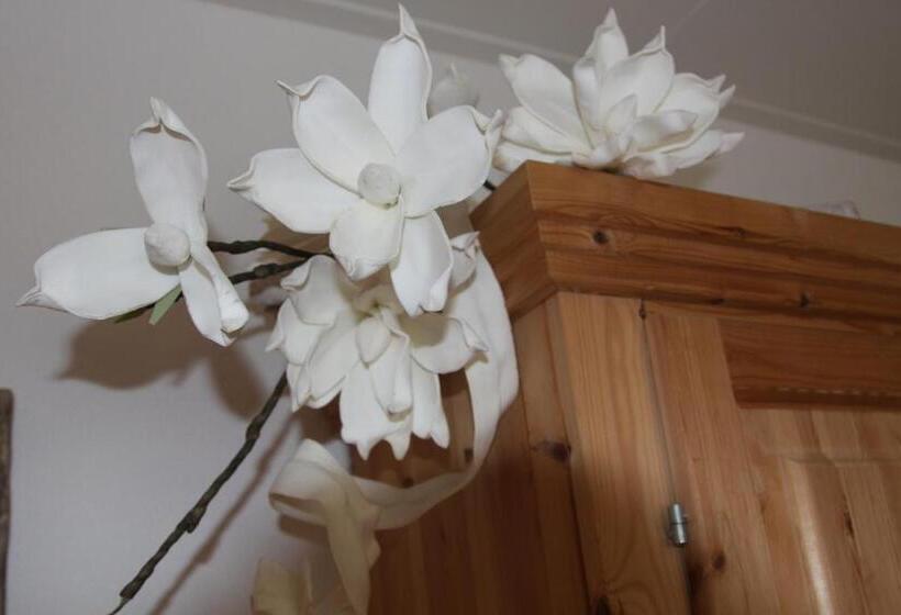 غرفة قياسية, B&b Molenaar