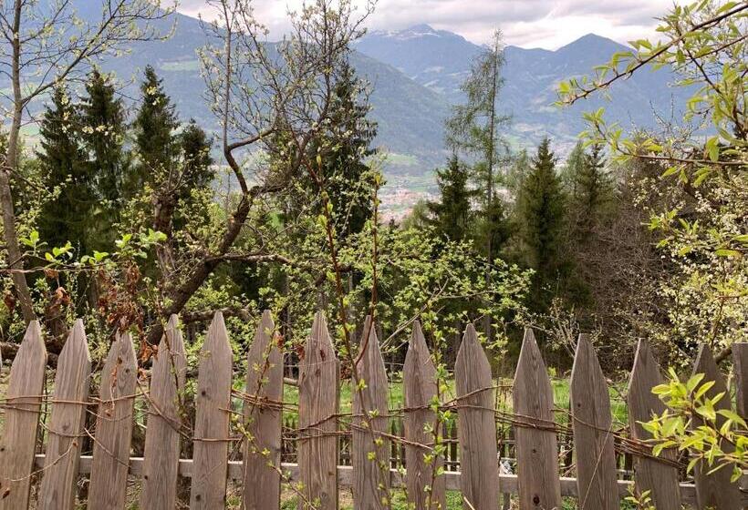 Номер Стандарт, Haus Lasaun