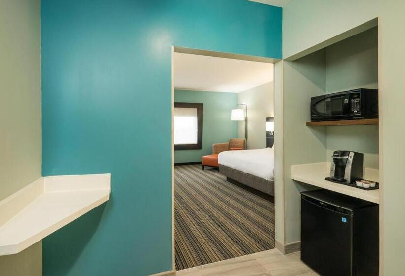 Номер Стандарт Кровать Кинг Адаптированный для Инвалидов, Holiday Inn Express & Suites Greenville Se   Simpsonville, An Ihg
