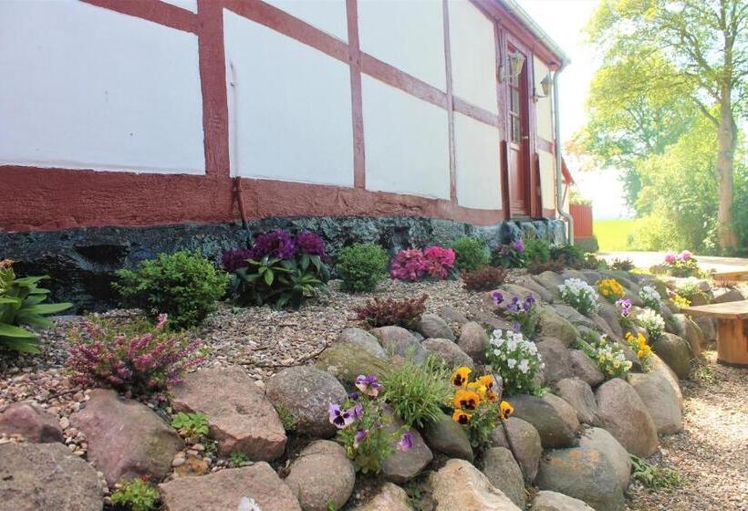 خانه 1 خوابه, Jungshoved Præstegård B&b
