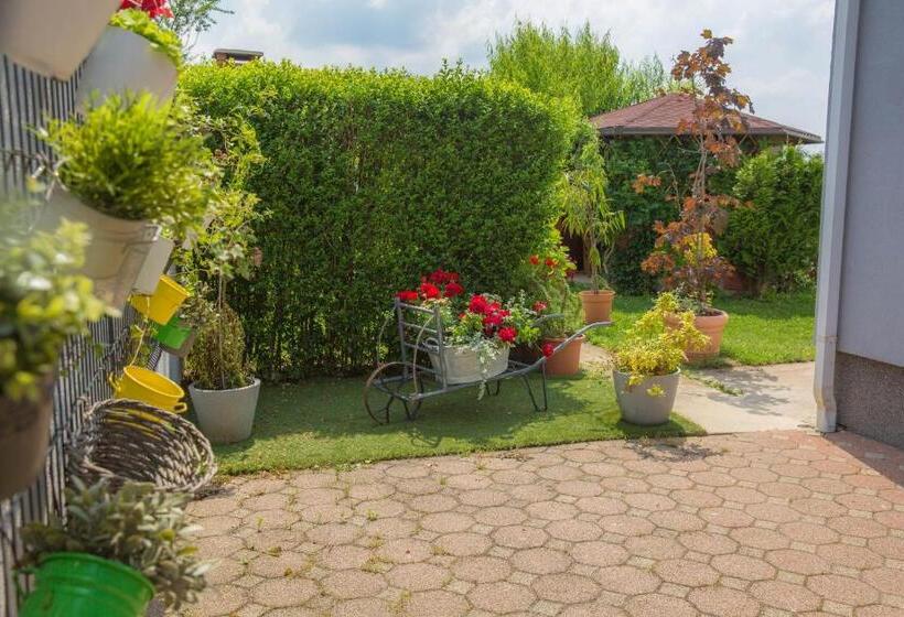 آپارتمان 1 خوابه با چشم‌انداز باغ, B&b Tara Garden