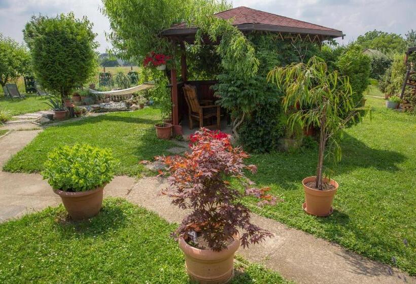 آپارتمان 1 خوابه با چشم‌انداز باغ, B&b Tara Garden
