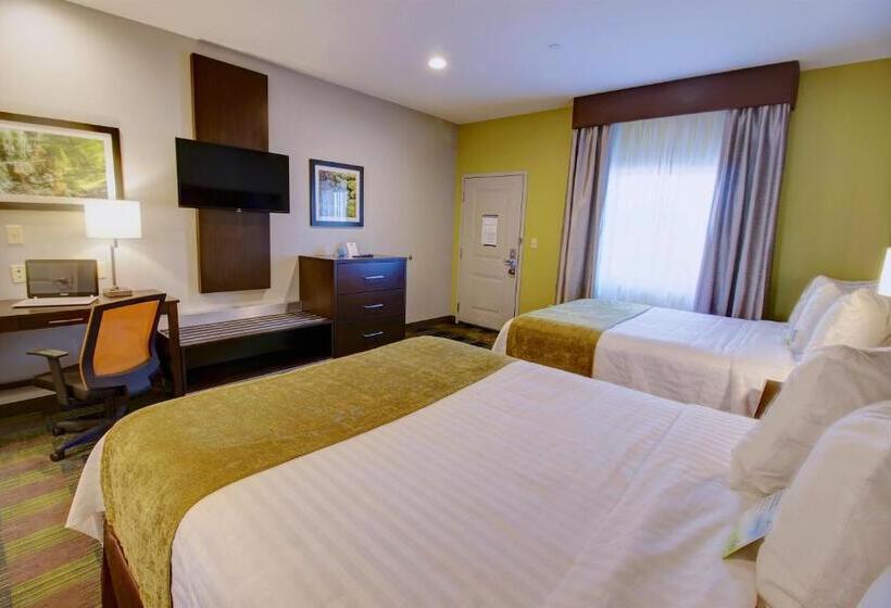 장애인을 위한 스탠다드 룸, Days Inn & Suites By Wyndham Port Arthur