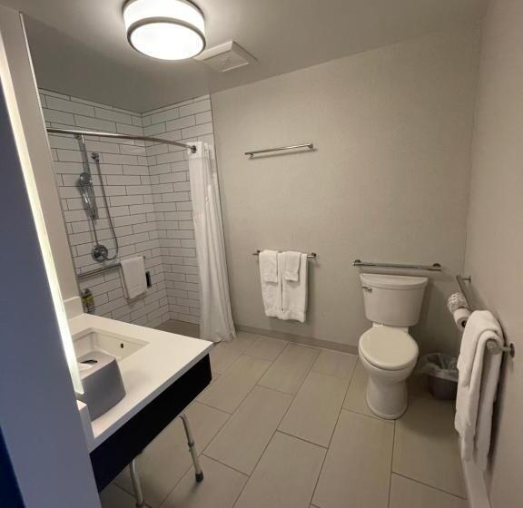 Номер Стандарт Кровать Кинг Адаптированный для Инвалидов, Holiday Inn Express & Suites   Gatineau   Ottawa, An Ihg