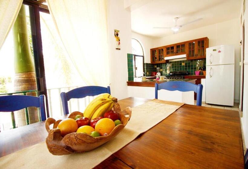 اتاق لوکس, Maya Vacanze Playa Alegria