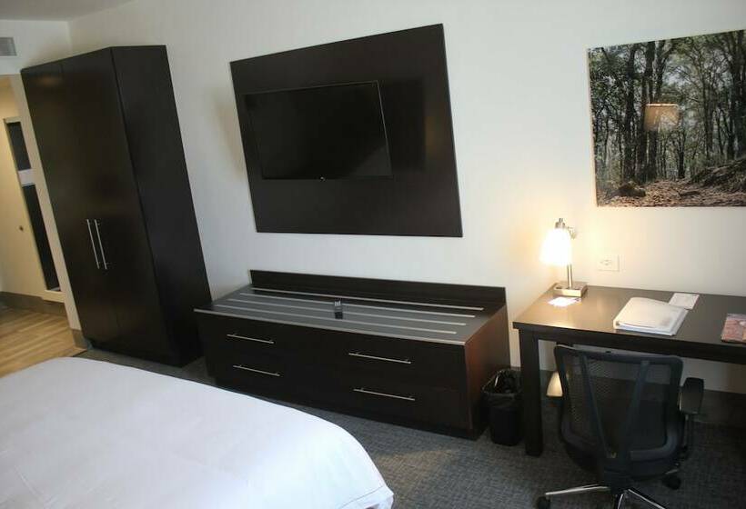 标准间, Holiday Inn Express & Suites Silao Aeropuerto Terminal, An Ihg