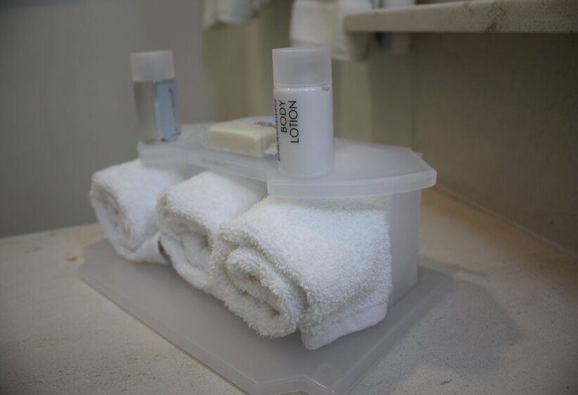 套房, Holiday Inn Express & Suites Silao Aeropuerto Terminal, An Ihg