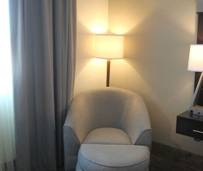 套房, Holiday Inn Express & Suites Silao Aeropuerto Terminal, An Ihg