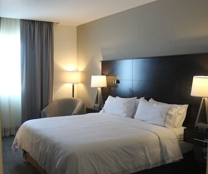 套房, Holiday Inn Express & Suites Silao Aeropuerto Terminal, An Ihg