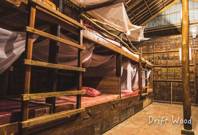 Cama em Quarto Compartilhado, Driftwood Hostel And Bungalows