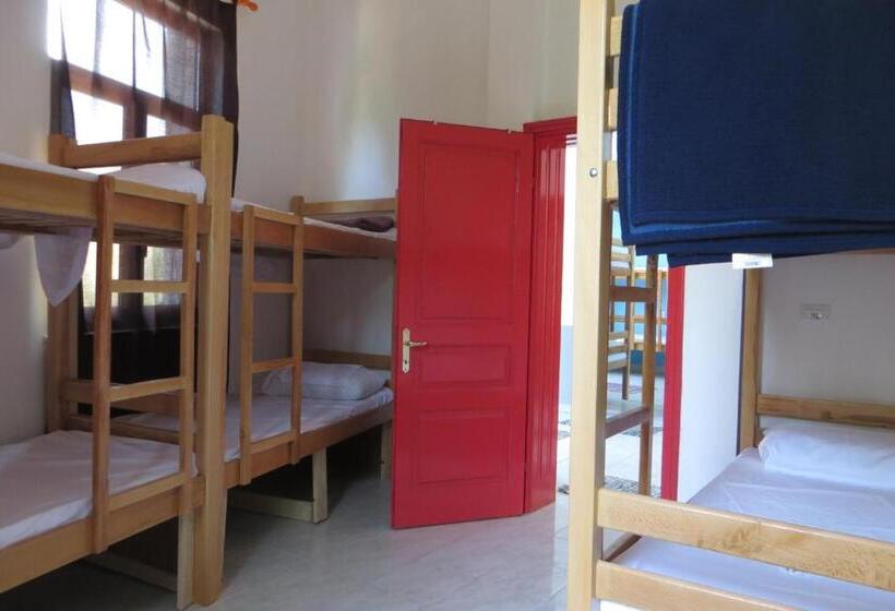 공동 객실, Hostel Durres