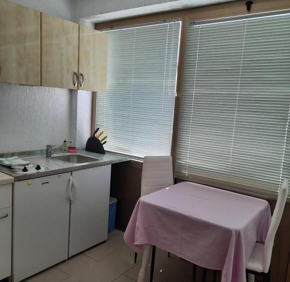 발코니가 있는 바다전망 스탠다드 스튜디오, Apartments And Rooms Vinko