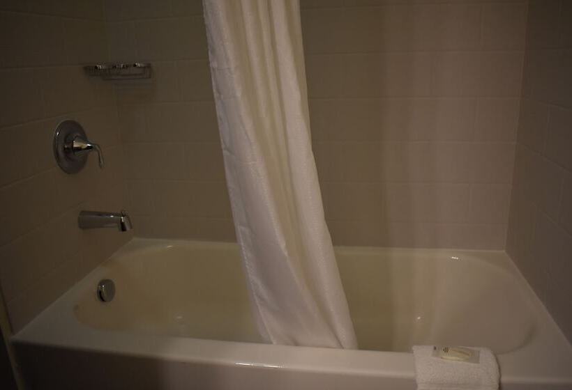 Люкс, Mainstay Suites Moab Near Arches National Park