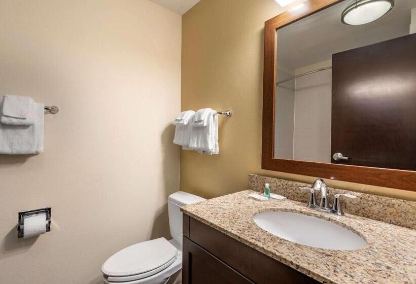 Люкс Кровать Кинг, Mainstay Suites Moab Near Arches National Park
