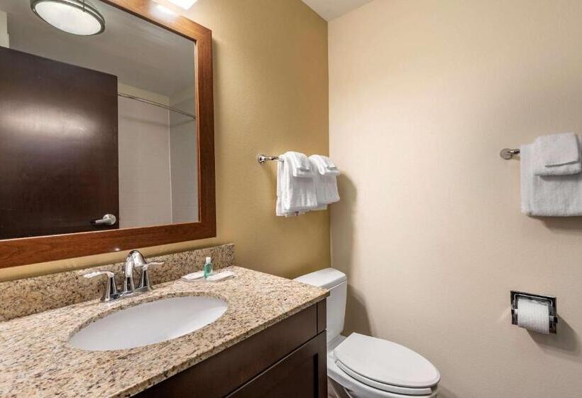 Люкс Кровать Кинг, Mainstay Suites Moab Near Arches National Park