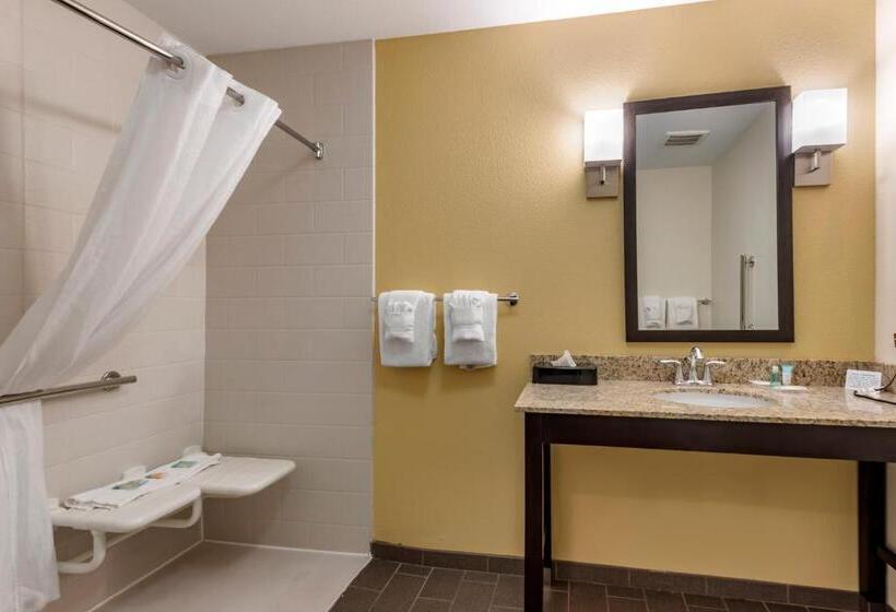 Люкс Адаптированный для Инвалидов, Mainstay Suites Moab Near Arches National Park