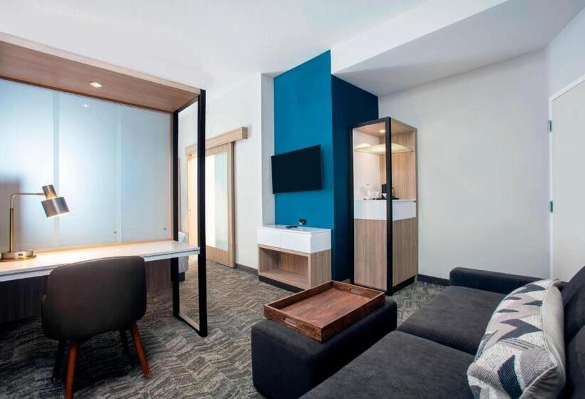 스위트 킹사이즈 침대, Springhill Suites By Marriott Miami Doral