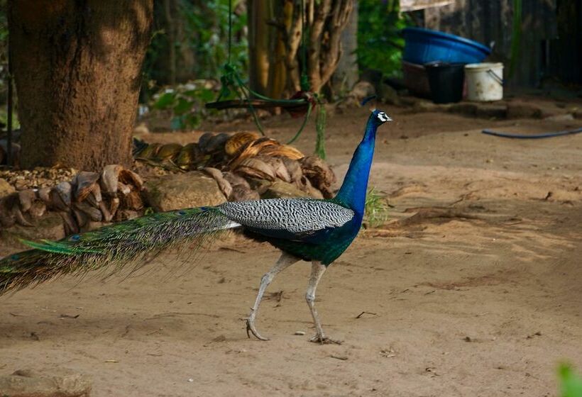 Deluxe Triple Room, Organic Farm Wish Prabha Lake View Homestay