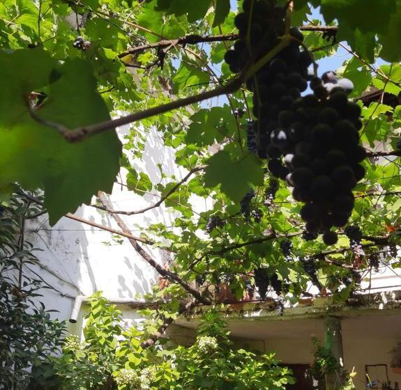 침실 1개 아파트, Vrenjo Guesthouse