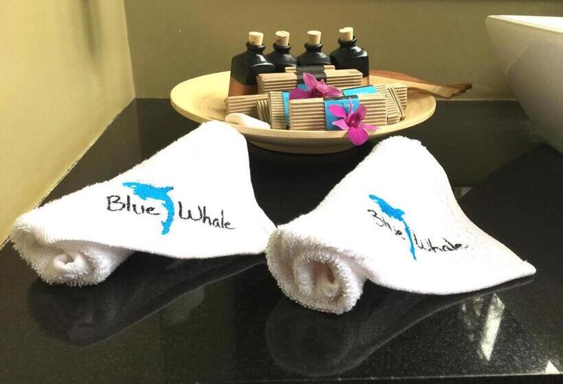 Полулюкс Вид на Море, Blue Whale Resort & Kite Surfing