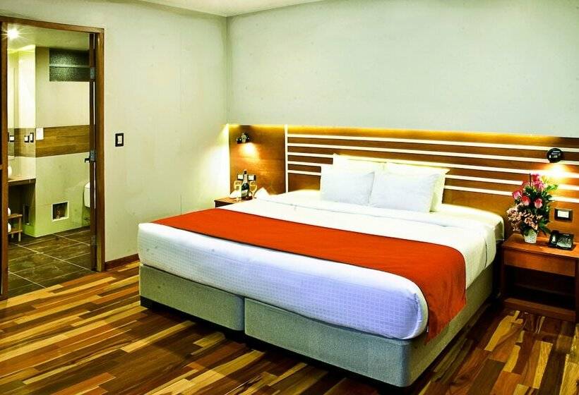 스탠다드 룸, Polo Corporativo San Sebastian